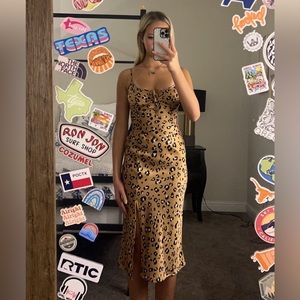 Animal Print Dress